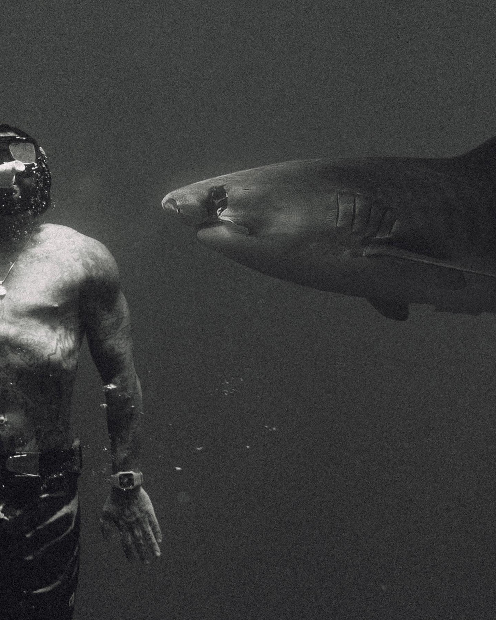 Тимати. Фото: Инстаграм* @timatiofficial