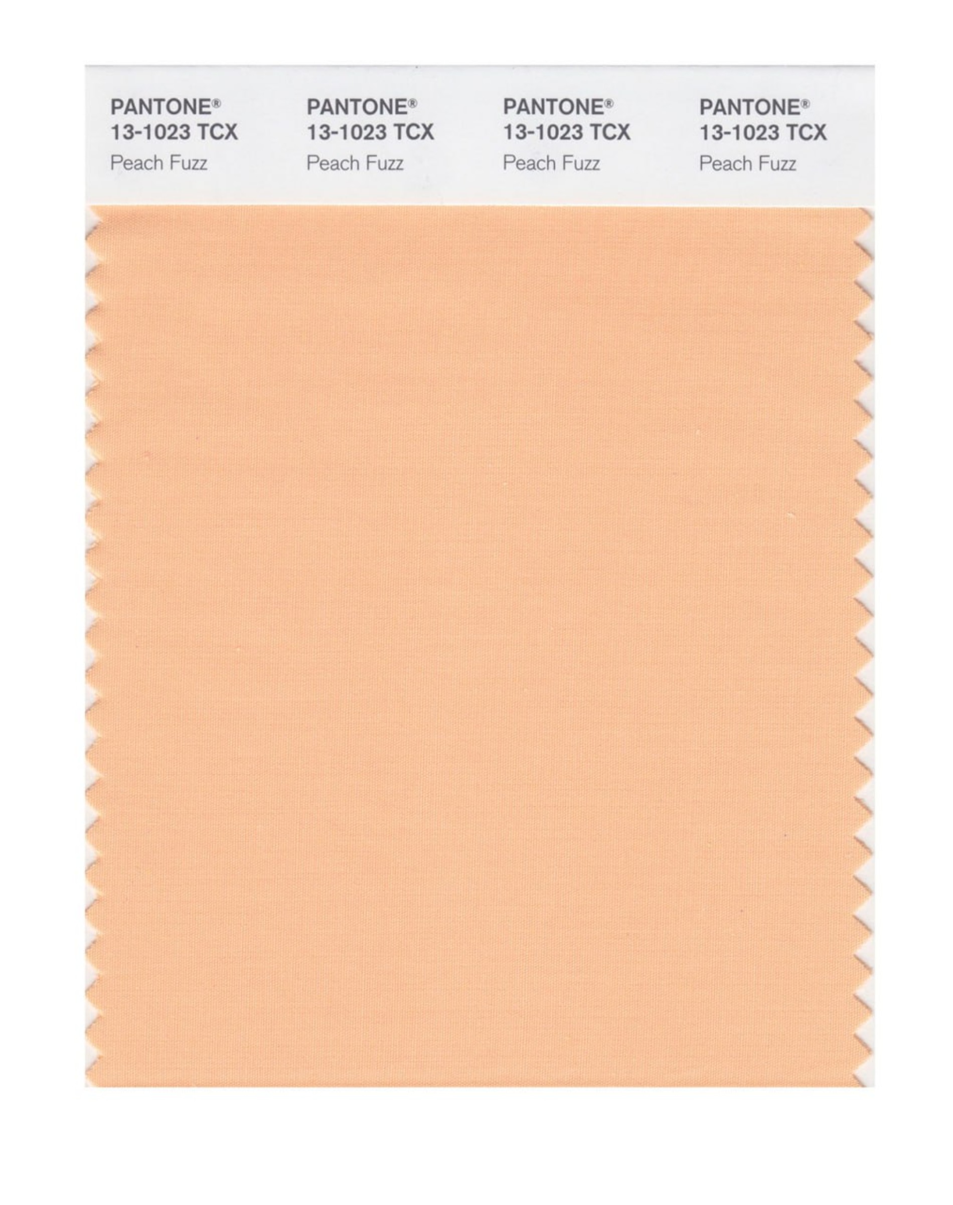 Цвет Peach Fuzz. Фото: Pantone