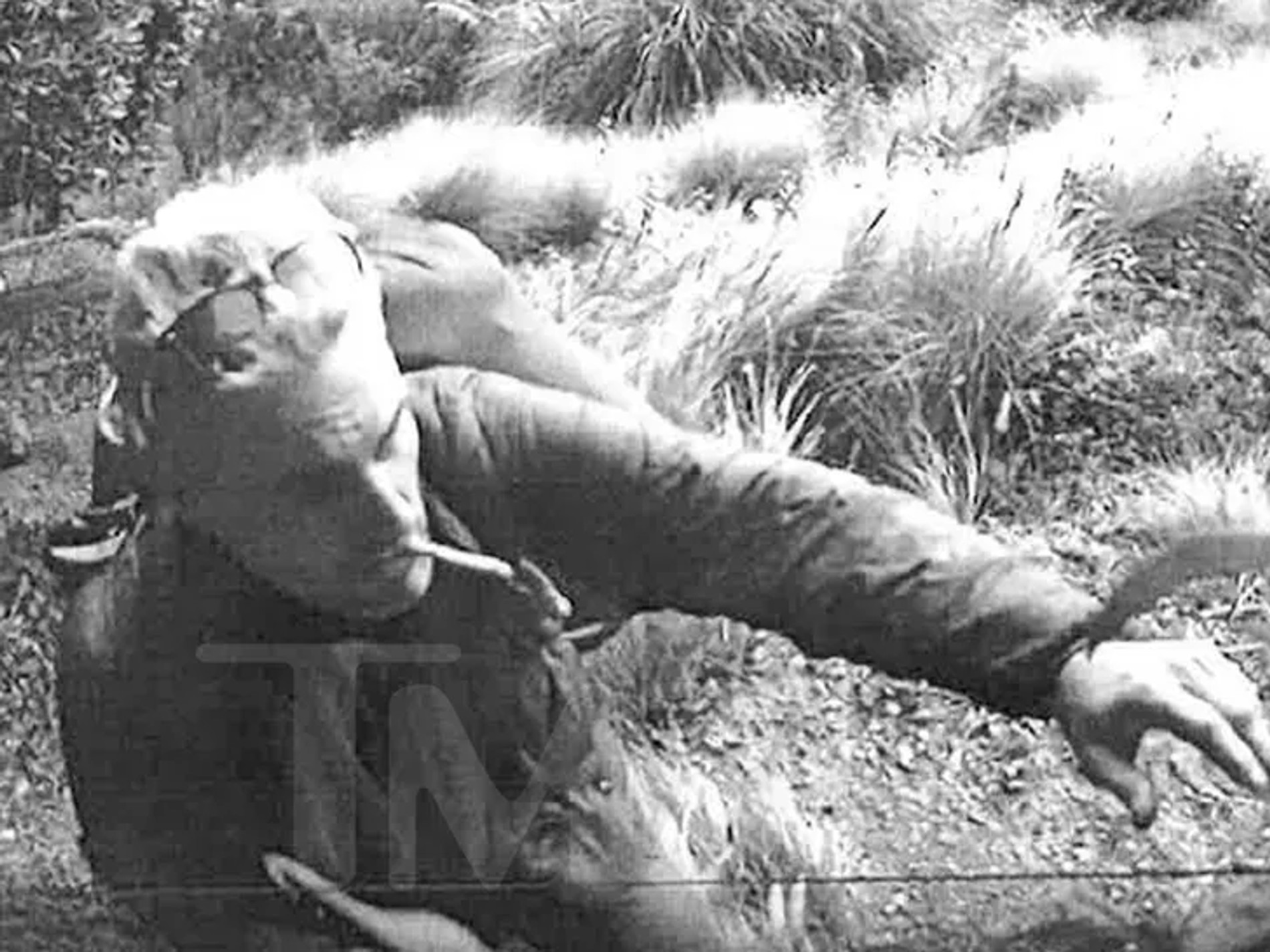 Брайан Диксон попал на камеры видеонаблюдения в доме Киану Ривза. Фото: TMZ