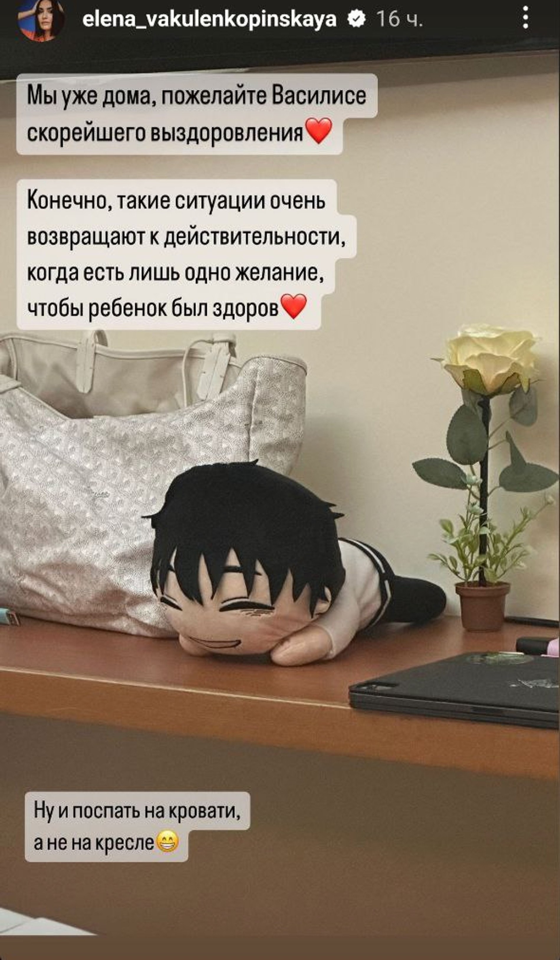 Фото: Инстаграм* @elena_vakulenkopinskaya