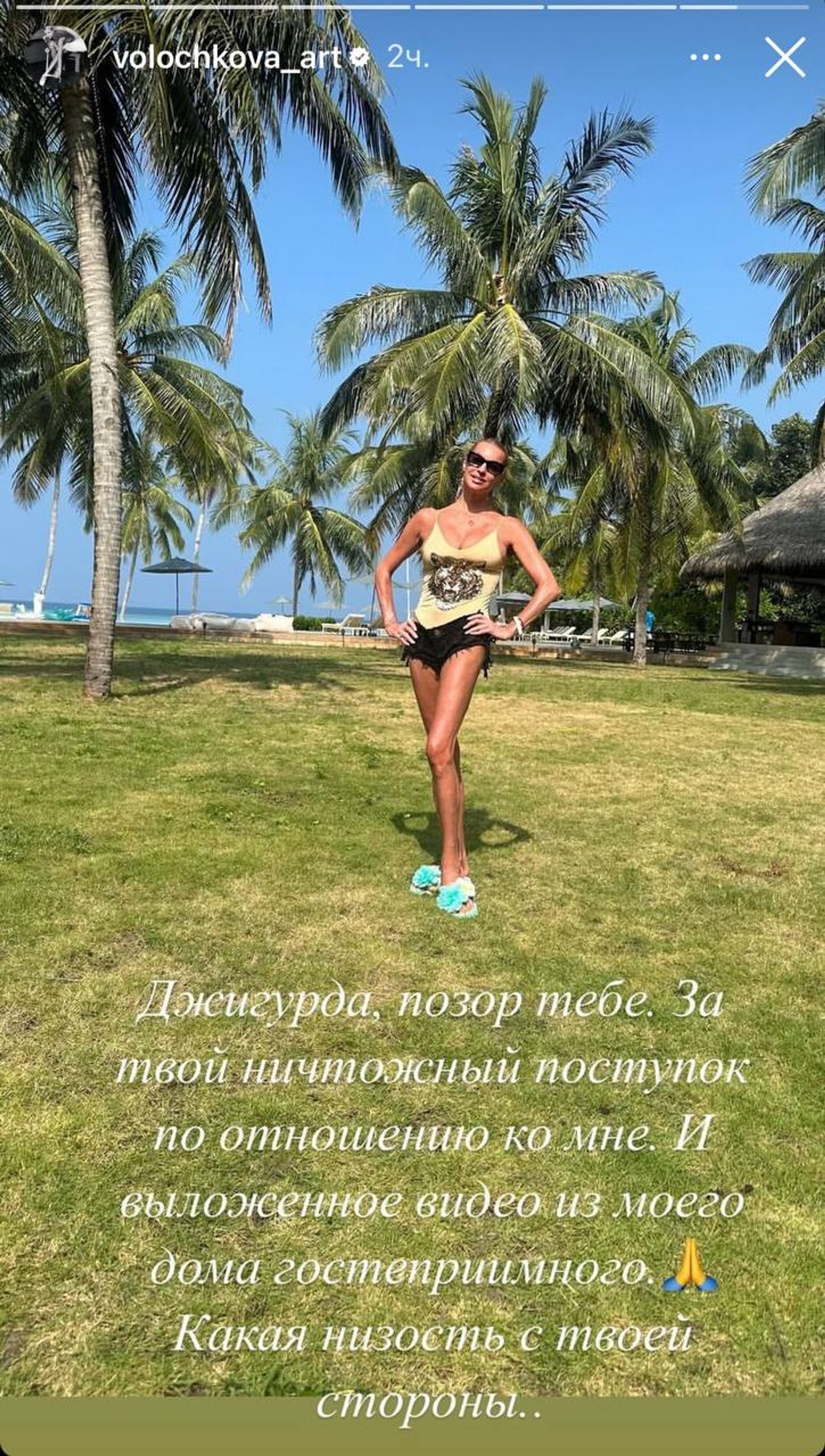 Фото: Инстаграм (запрещен в РФ) @volochkova_art