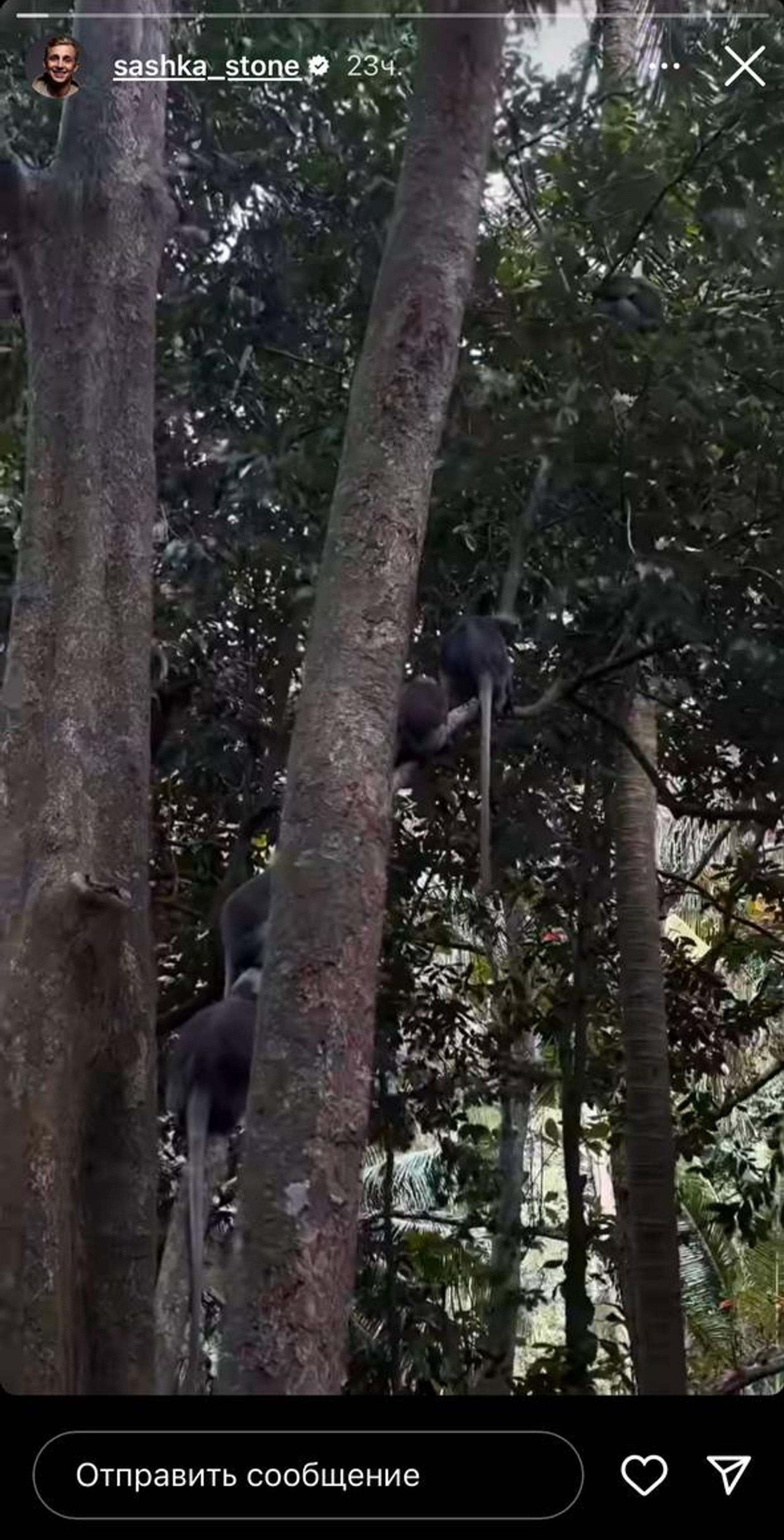 Фото: Инстаграм* @sashka_stone