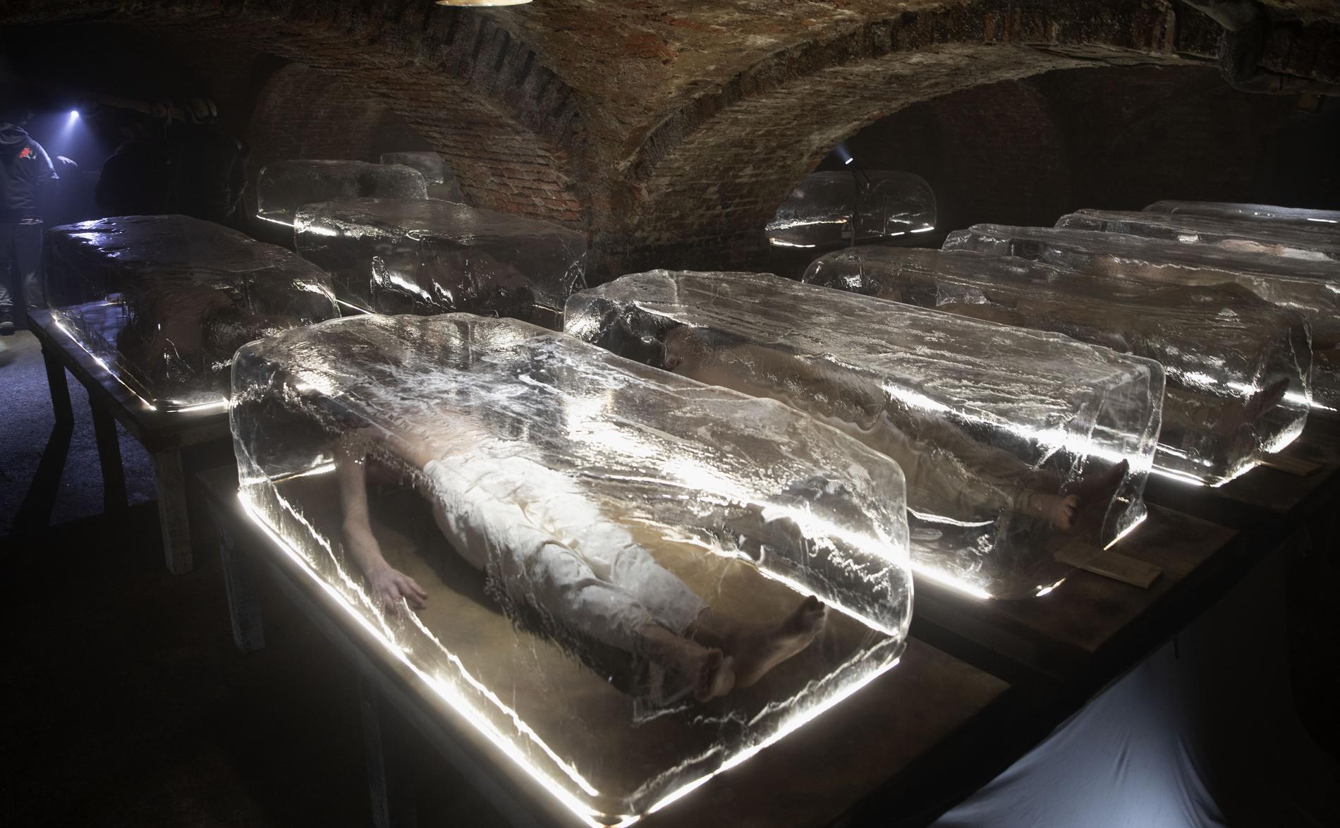 Фото: архив пресс-служб