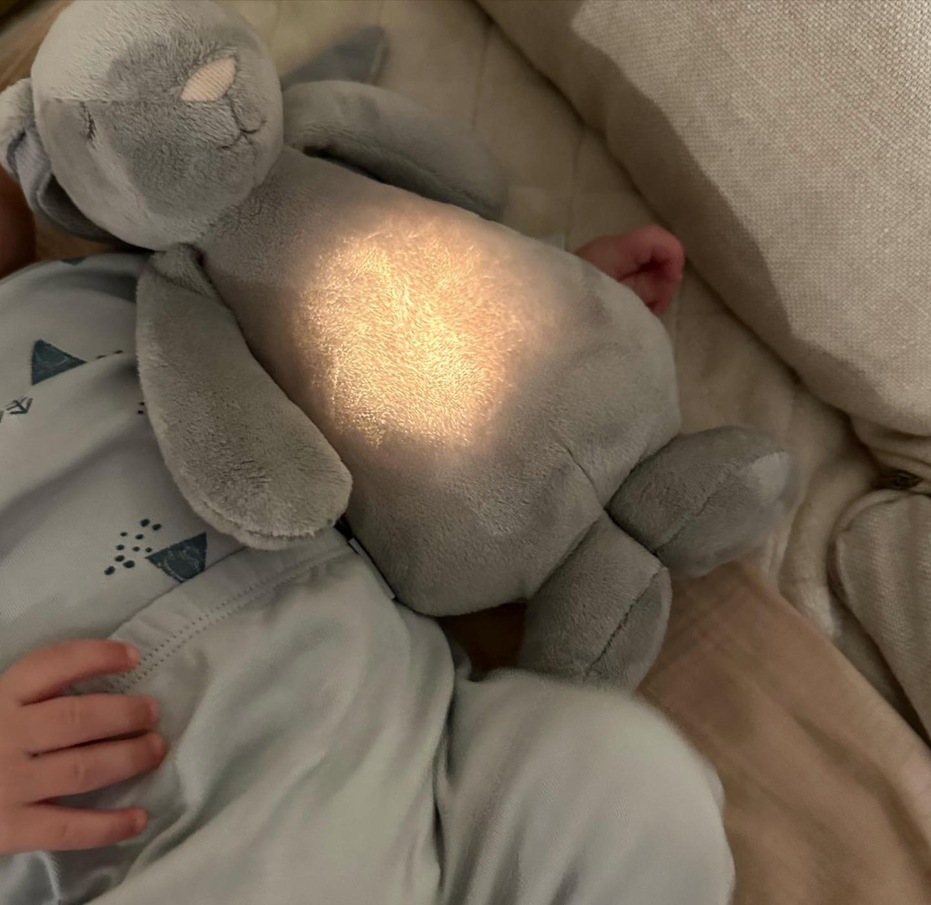 Сын Милоша Биковича и Иваны Малич. Фото: Инстаграм* @ivanamalic_