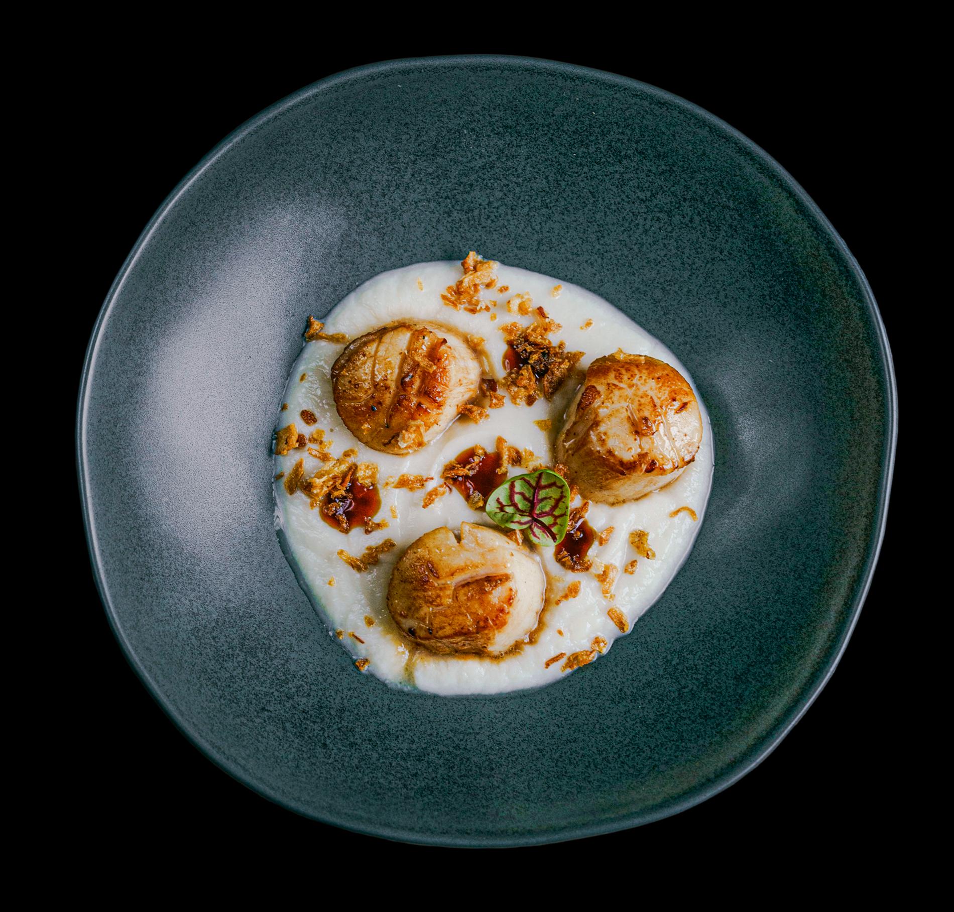 Фото: «Кусто»