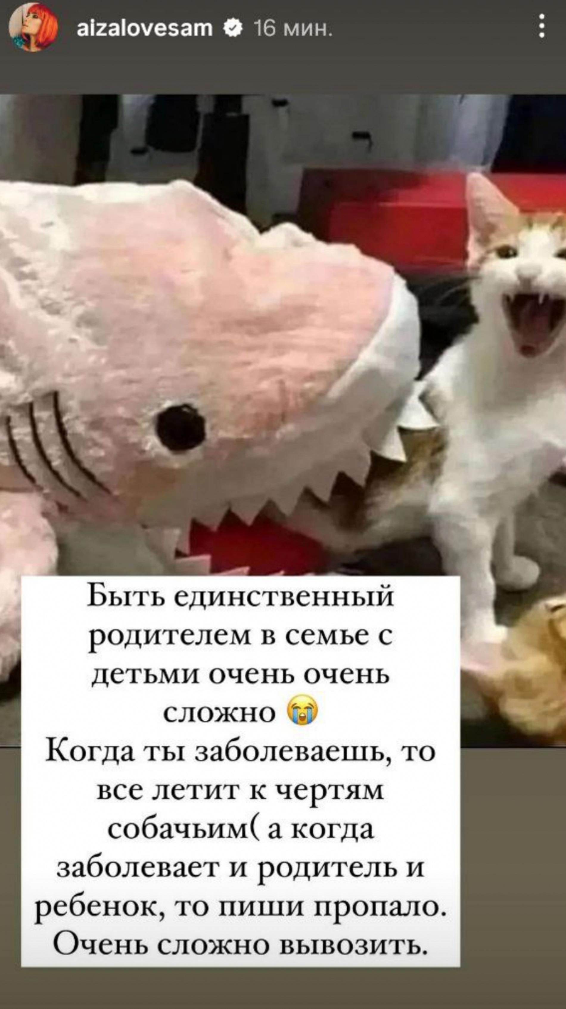 Фото: Инстаграм (запрещен в РФ) @aizalovesam