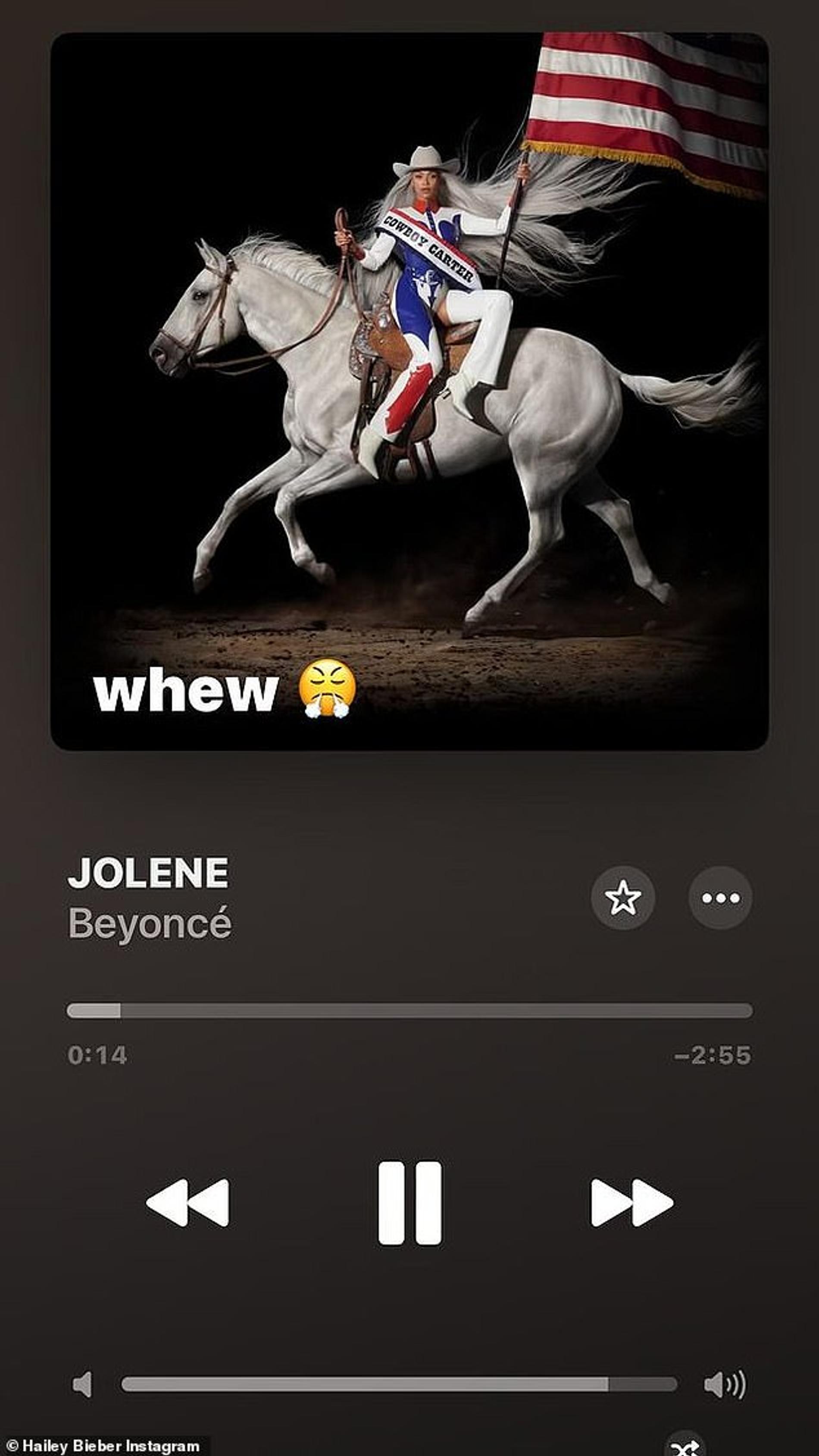 Комментарий Хейли Бибер в новой песне Бейонсе. Фото: Инстаграм* @hayleybieber