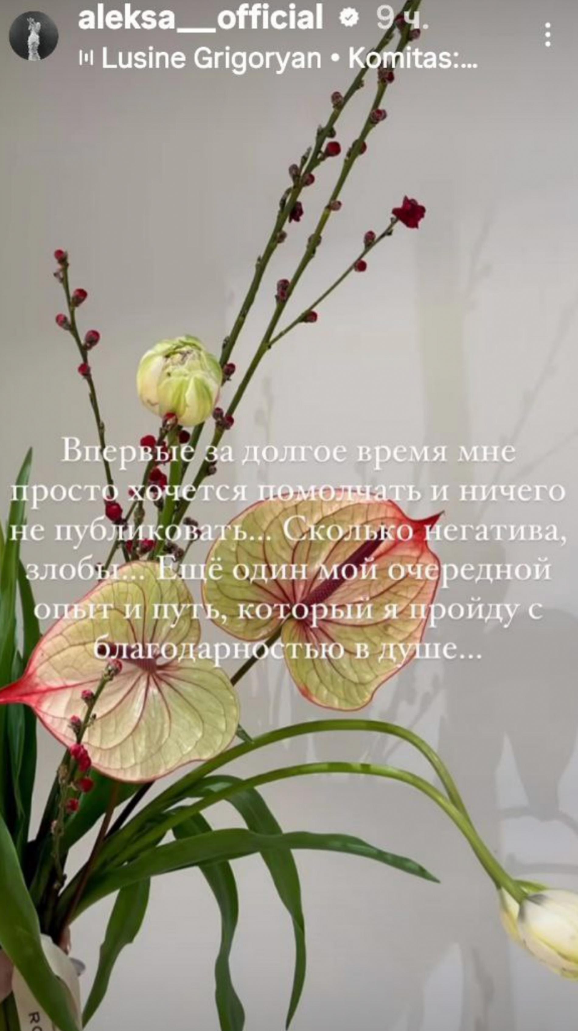 Фото: Инстаграм (запрещен в РФ) @aleksa_official