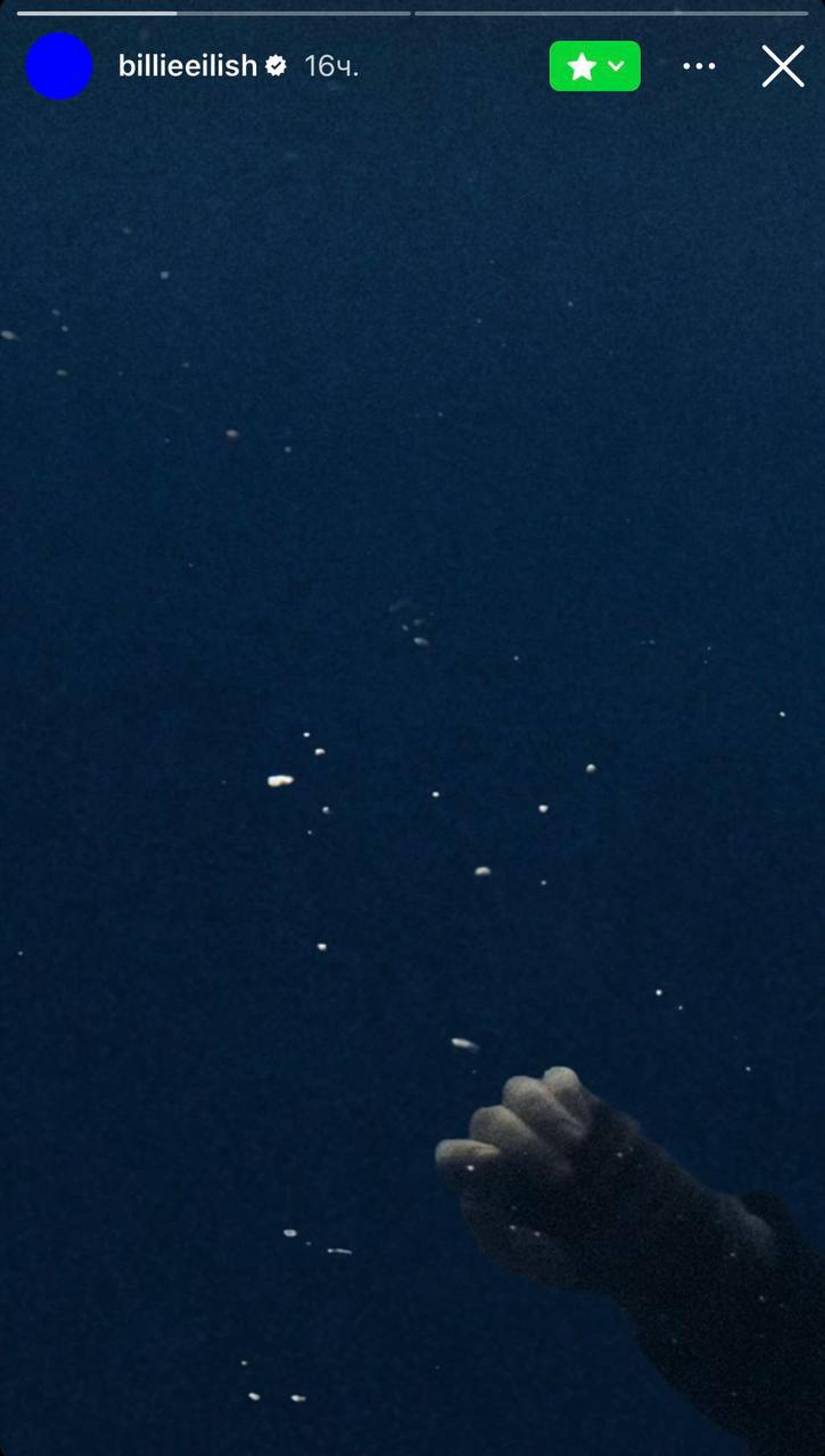 Фото: соцсети