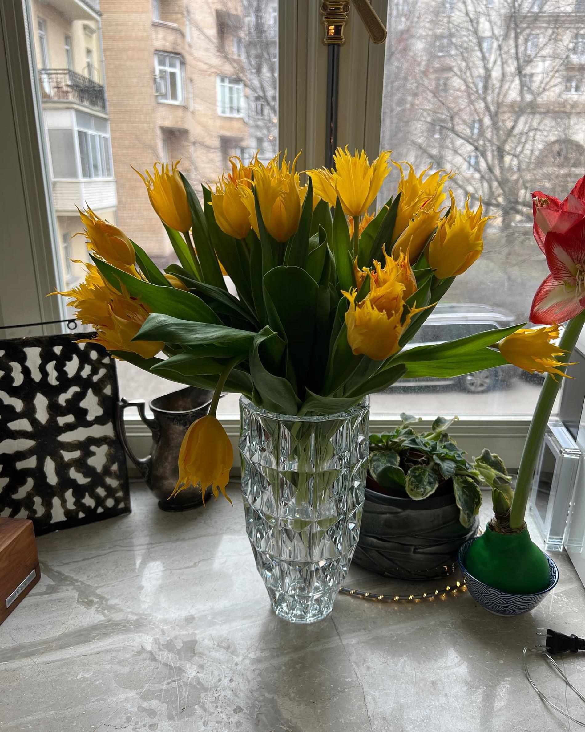 Фото: Инстаграм* @a030aa