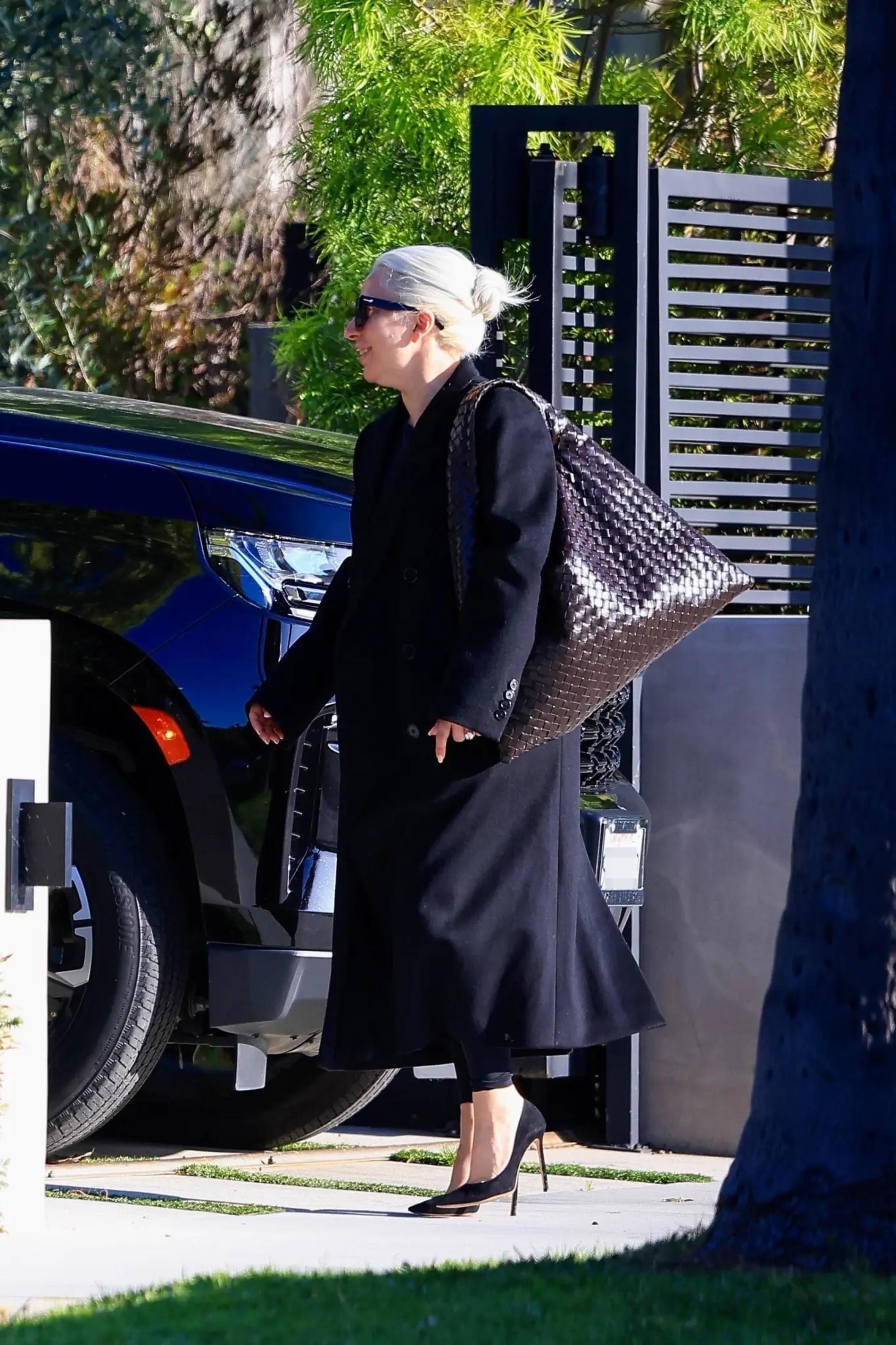 Леди Гага. Фото: Page Six