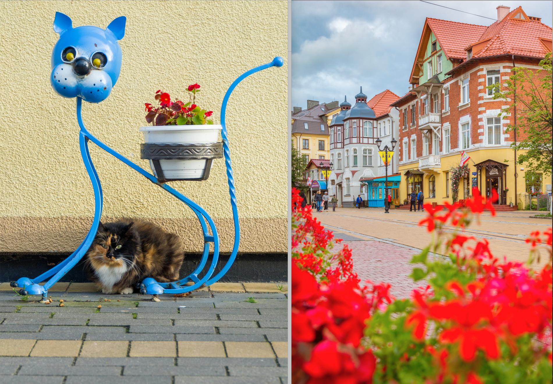 Зеленоградск. Фото: Юрий Баринов / Unsplash, Henryk Sadura / Getty Images