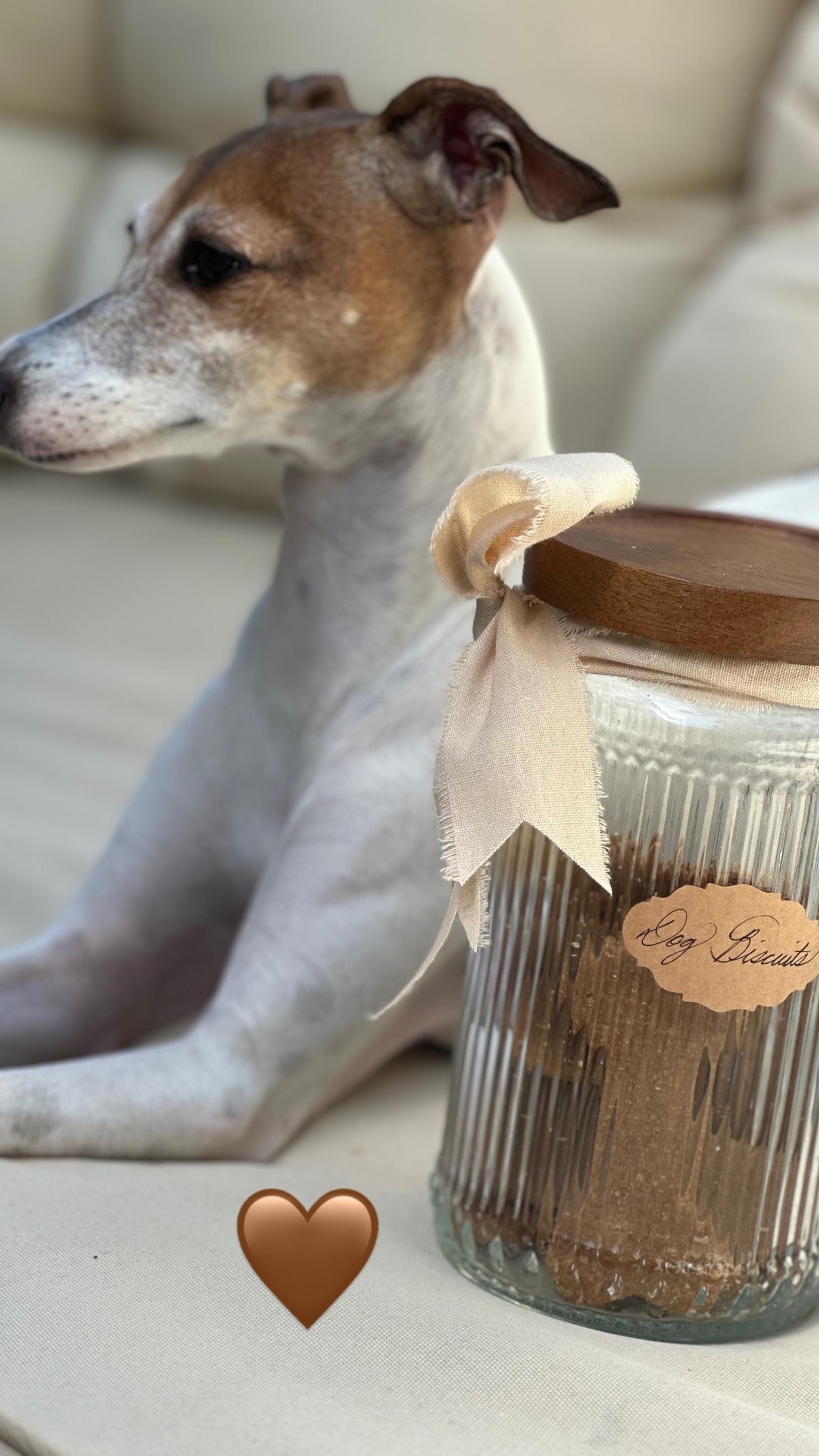 Печень для собак производства Меган Маркл. Фото: Инстаграм* @nachofigueras