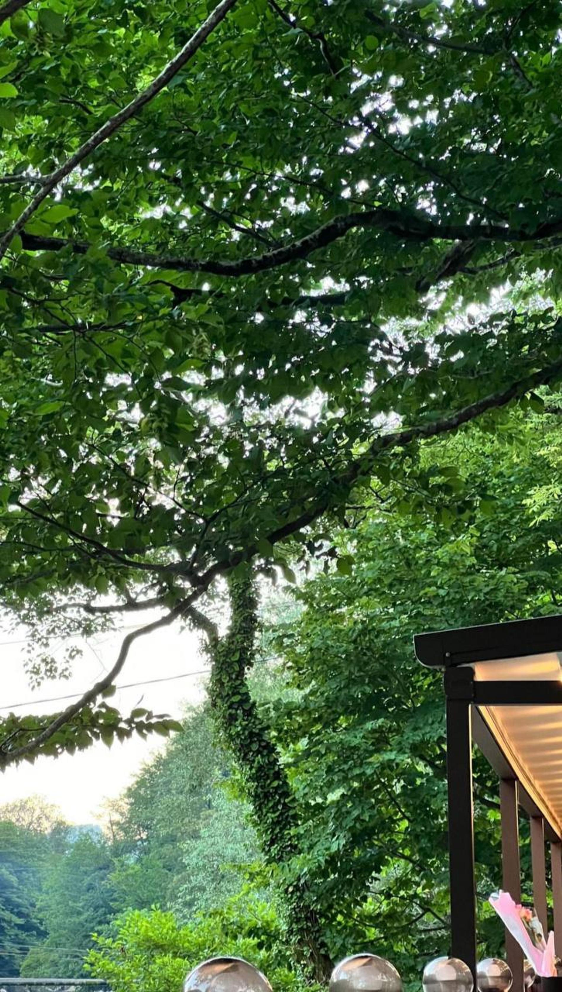 Медовый месяц Гарика Харламова и Катерины Ковальчук. Фото: Инстаграм* @katerinakovalchyk