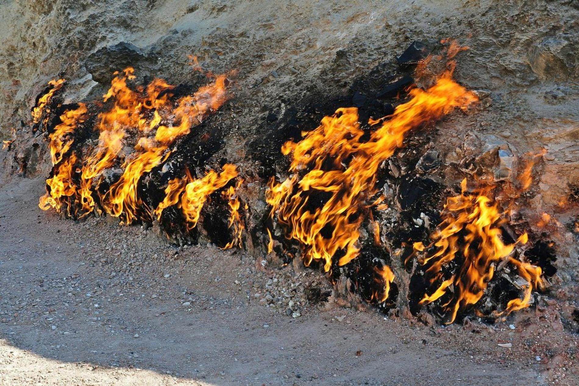 Фото: Сергей Василец