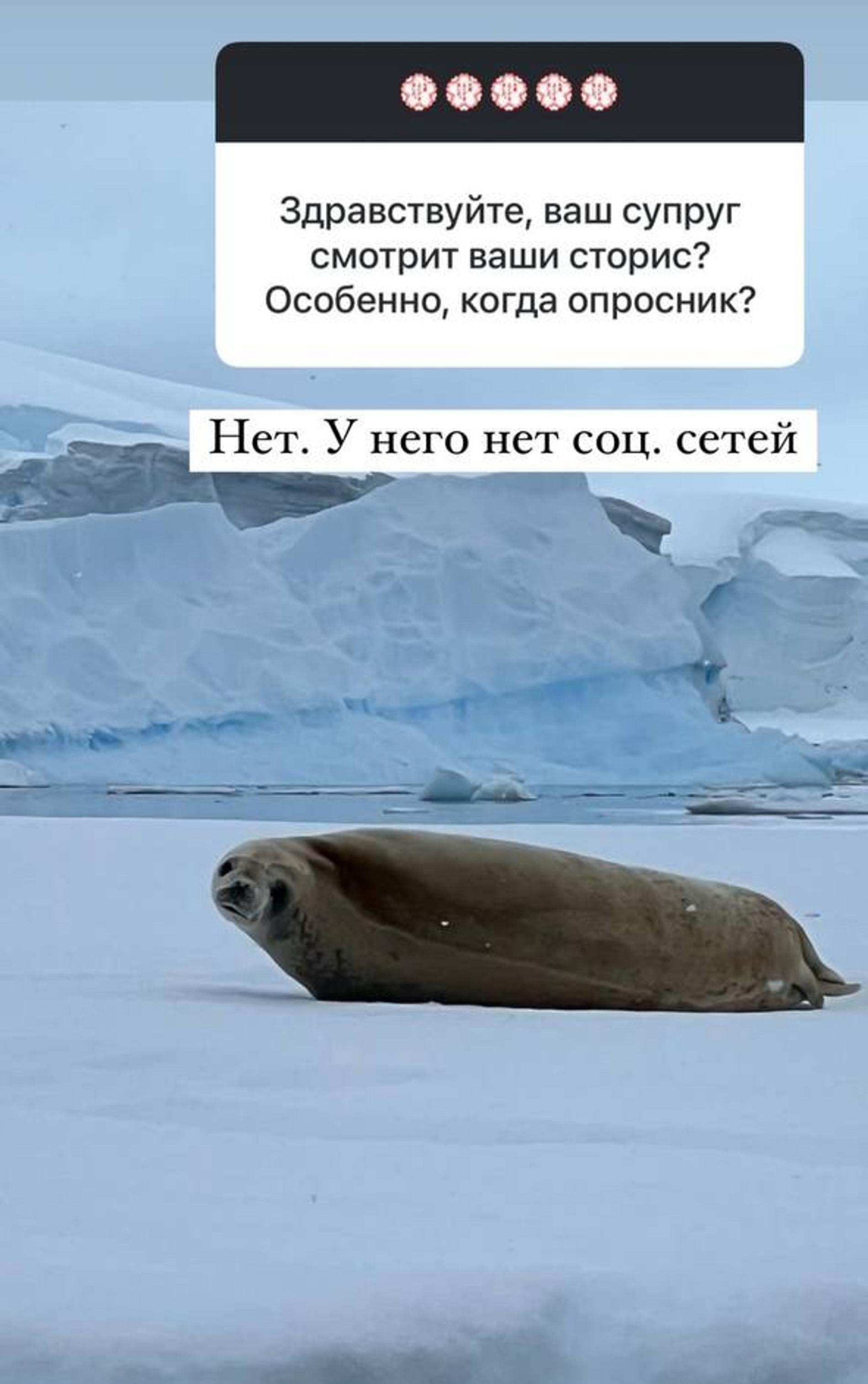 Ольга Орлова. Фото: Инстаграм* @olgaorlova1311