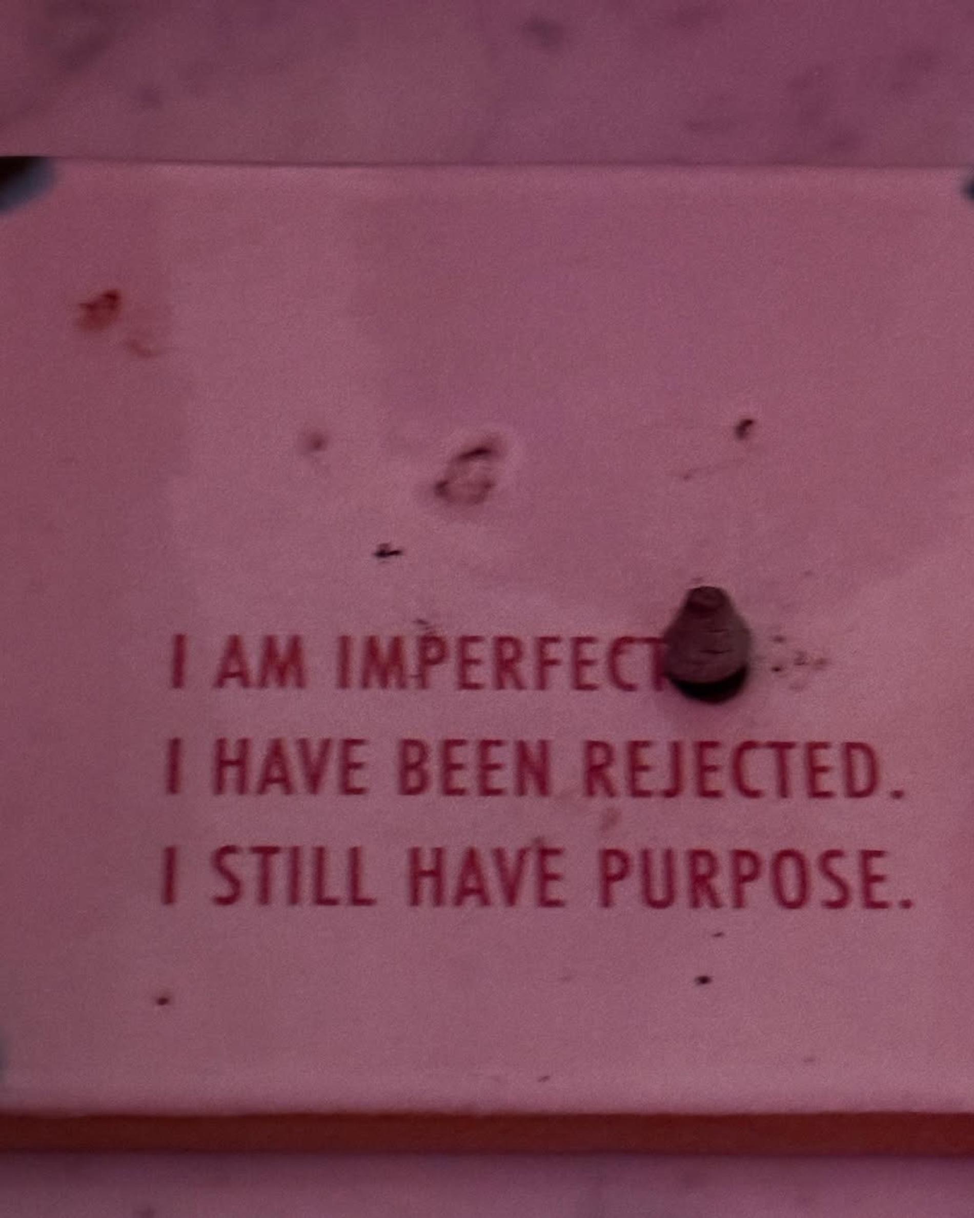 Фото: Инстаграм* @haileybieber