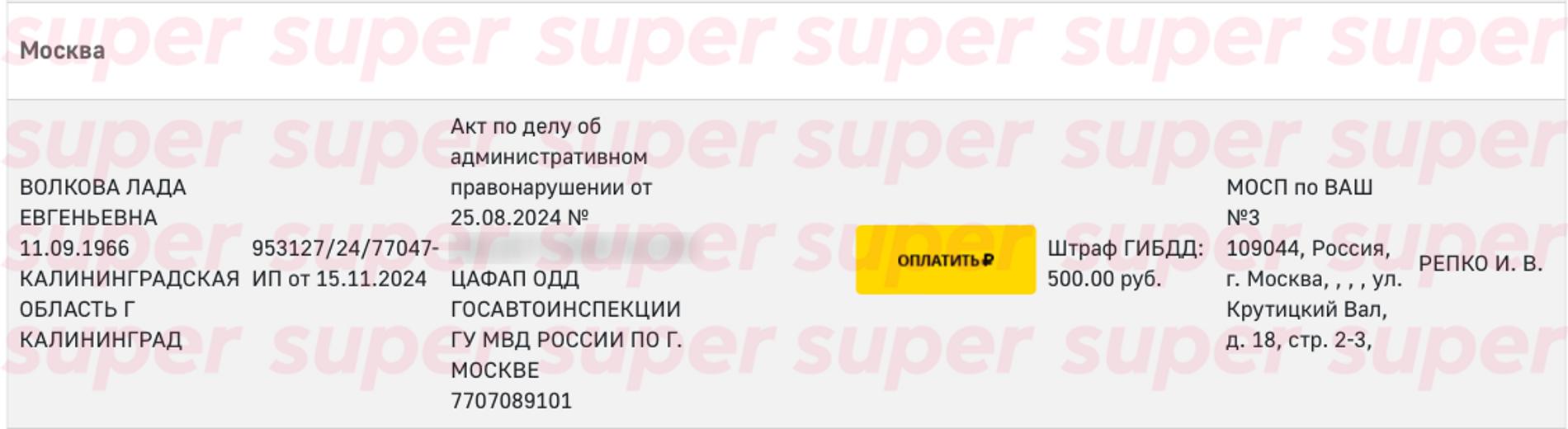 Данные о задолженностях Лады Дэнс. Фото: сайт ФССП