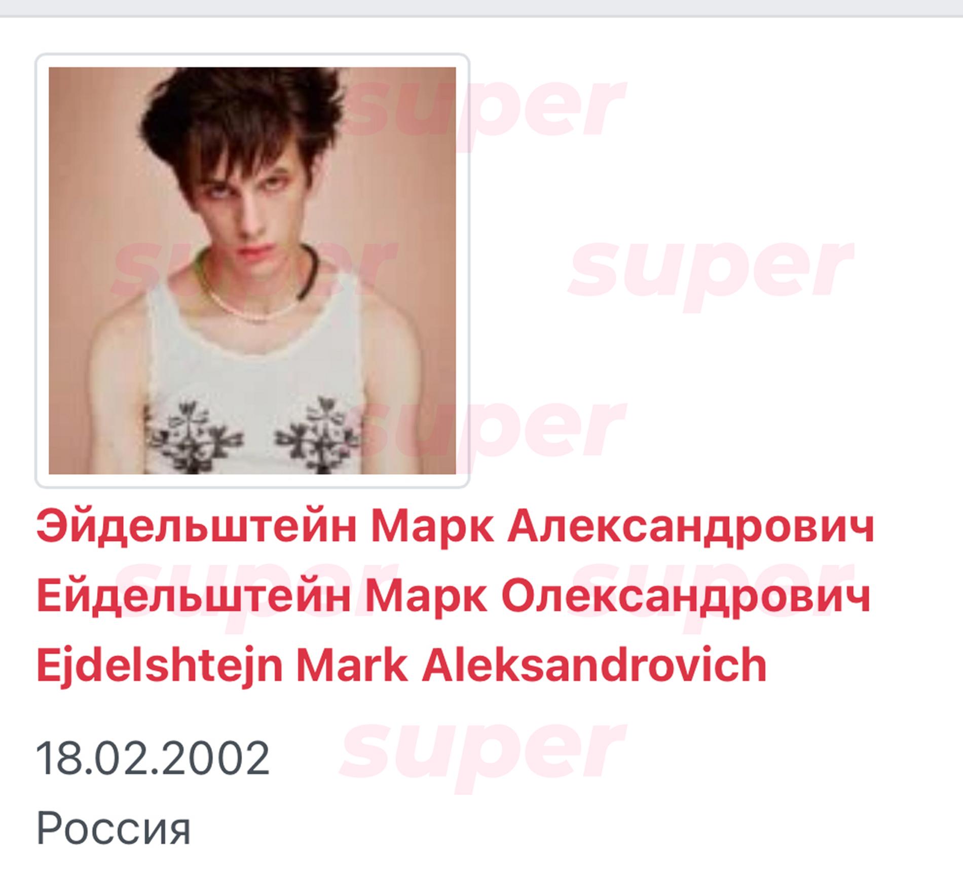 Скриншот с сайта украинской базы «Миротворец»