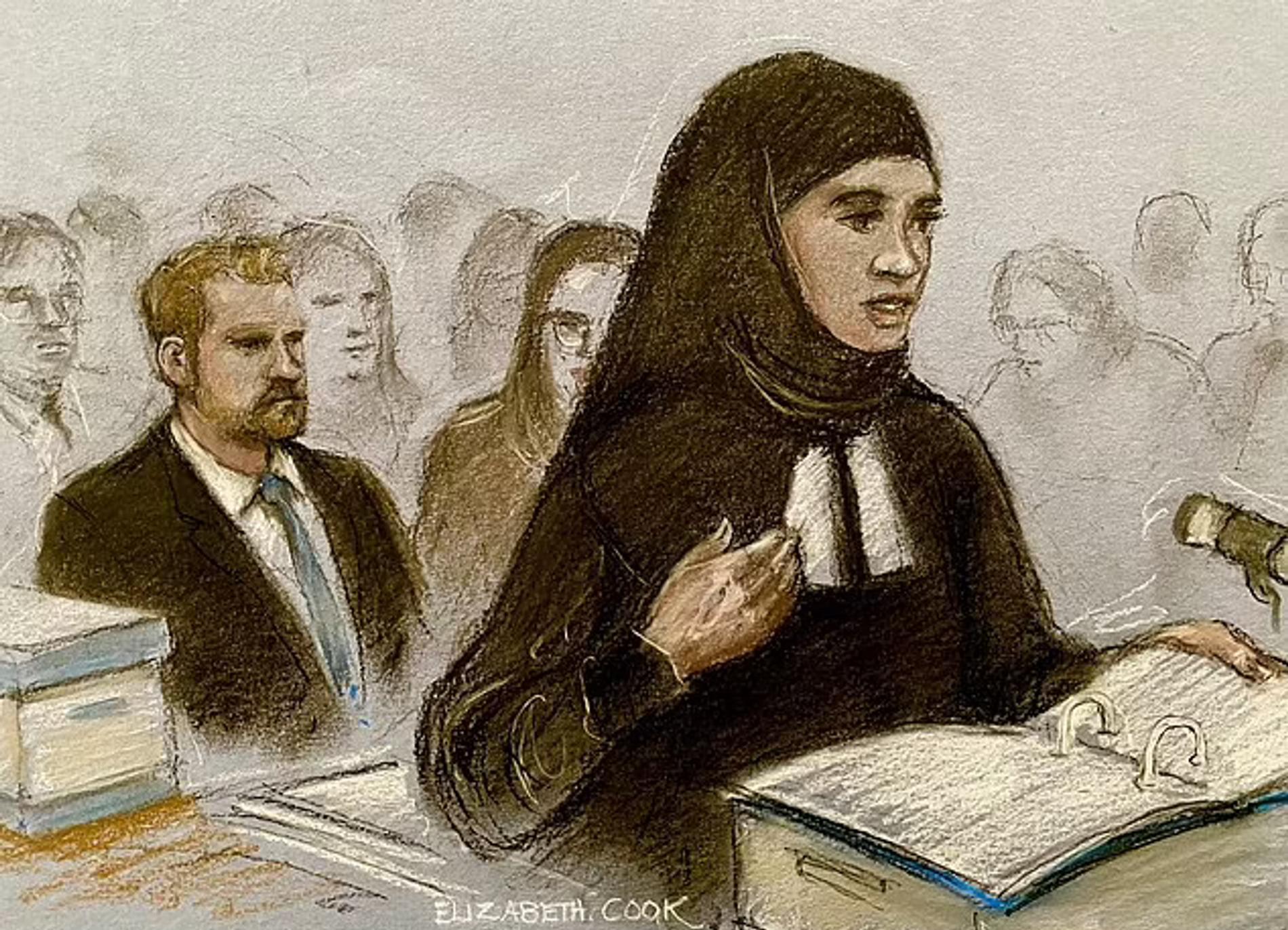 Судебная зарисовка с очередного заседания по делу принца Гарри. Источник: Daily Mail