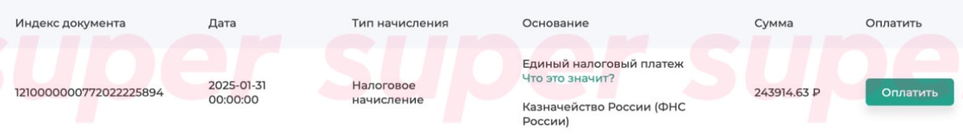 Налоговый долг Владимира Фриске. Фото: gosnalogi.ru