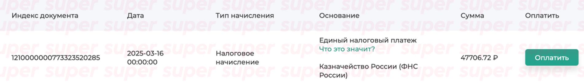 Налоговый долг Дамира Кошкарова. Фото: https://gosnalogi.ru/