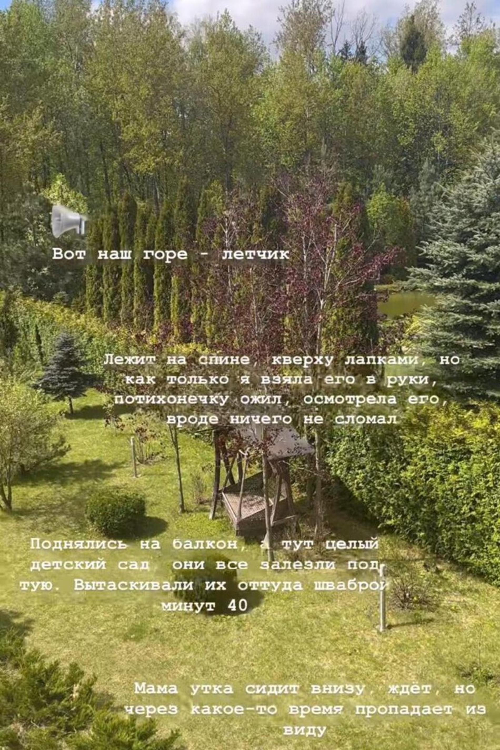 Фото: Инстаграм (запрещён в РФ) @anna_zavorotnyuk