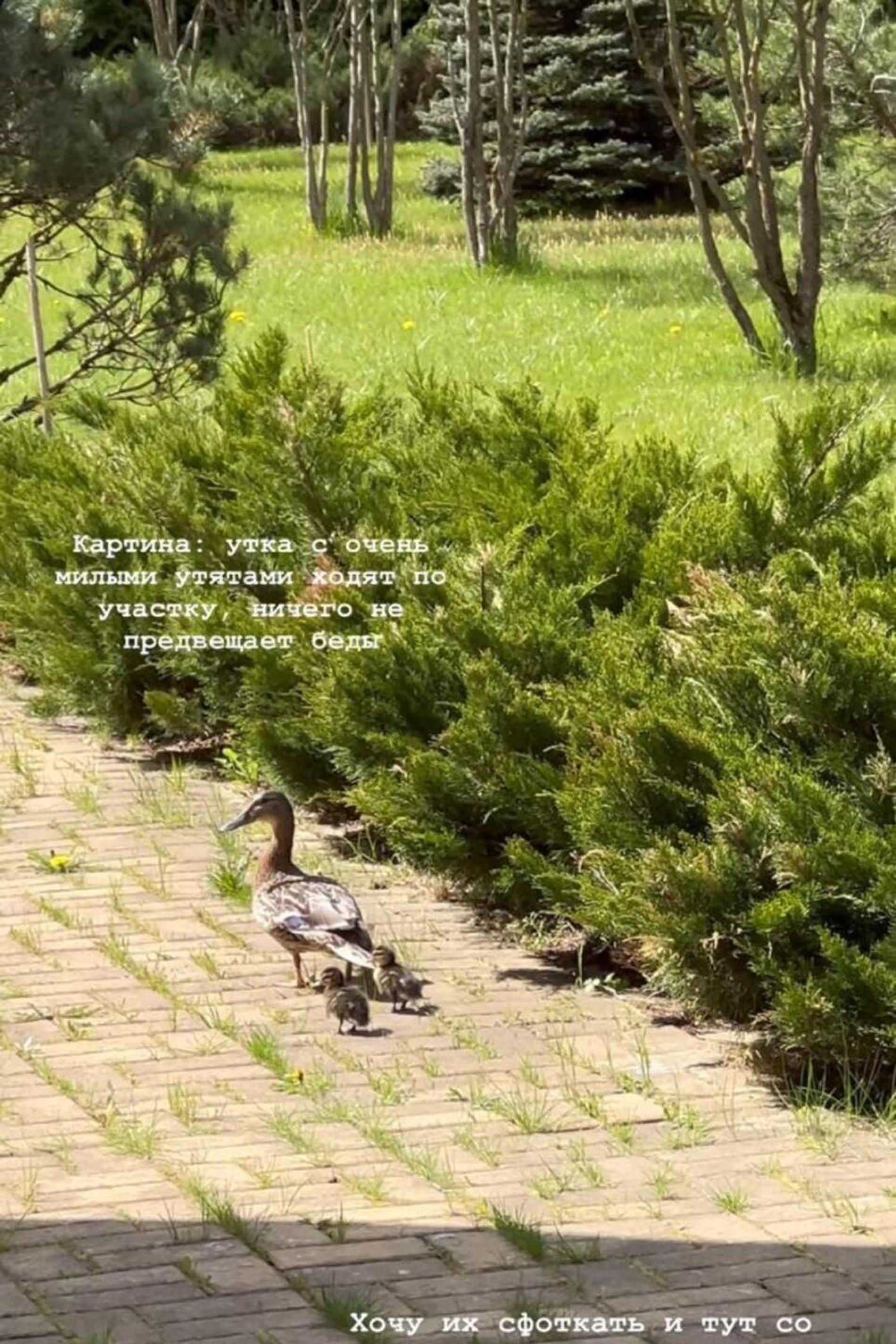 Фото: Инстаграм (запрещён в РФ) @anna_zavorotnyuk