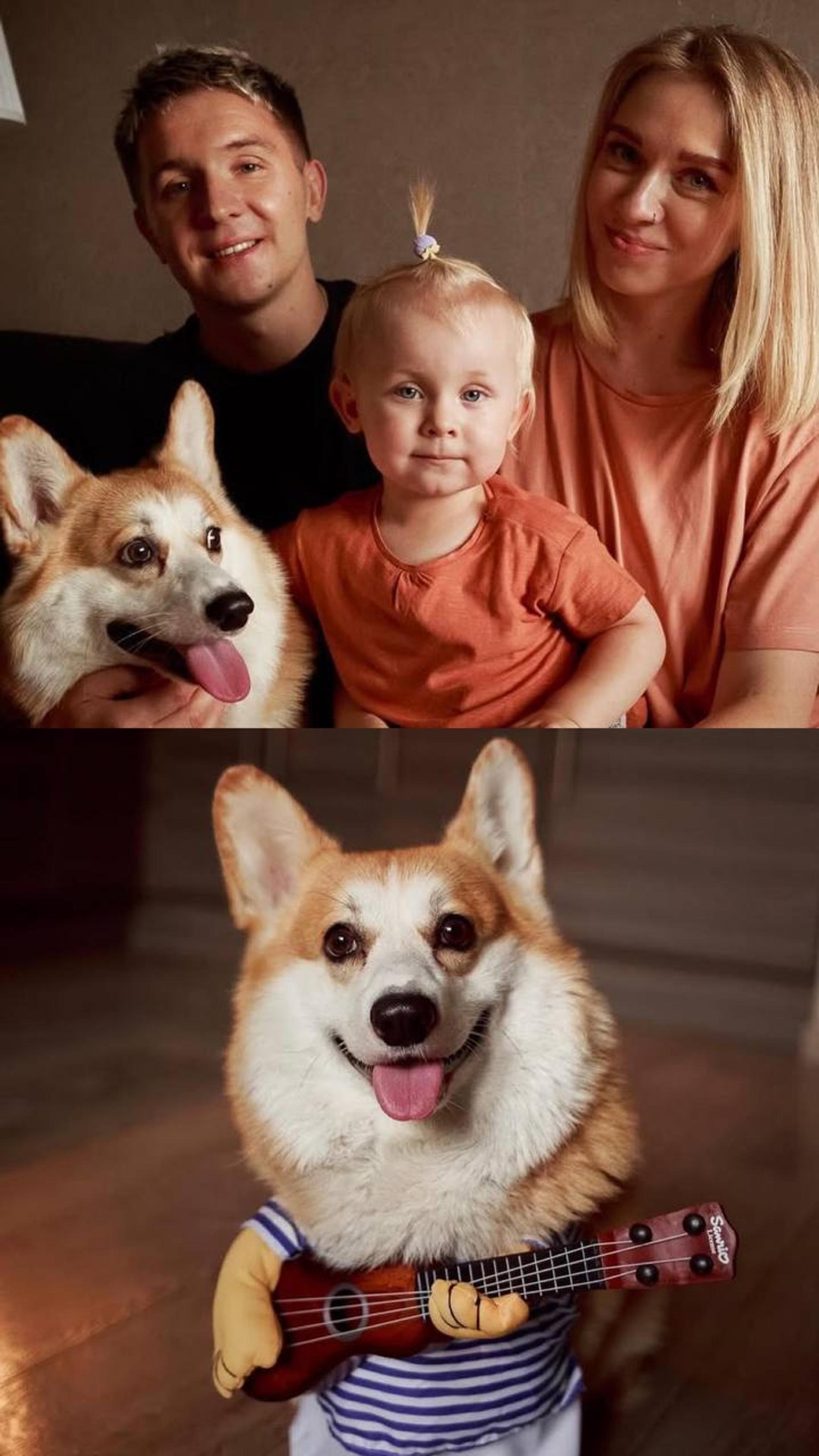 Денис Кукояка с женой Еленой, дочкой Василисой и их корги. Фото: соцсети Дениса Кукояки