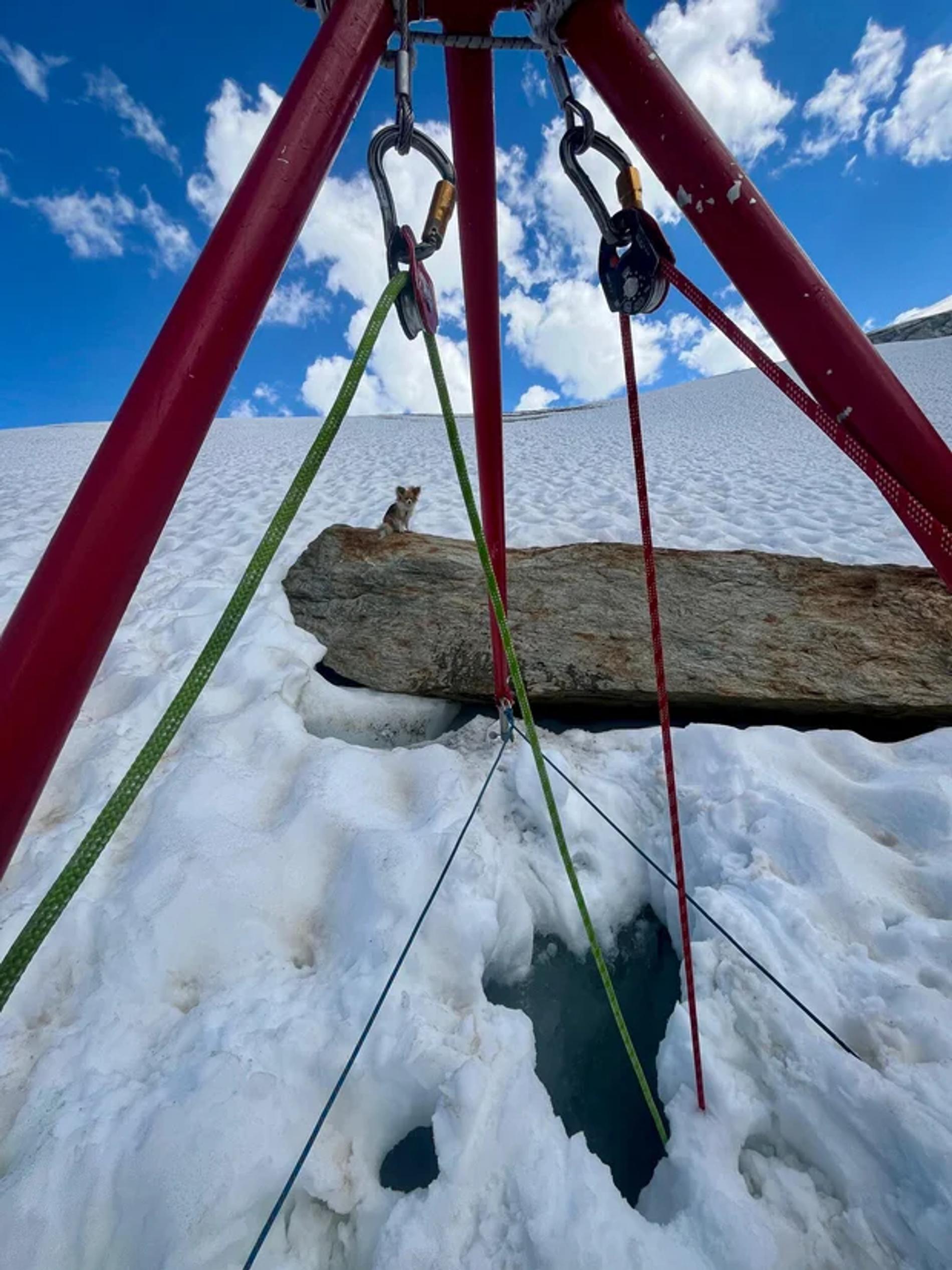 Фото: Air Zermatt