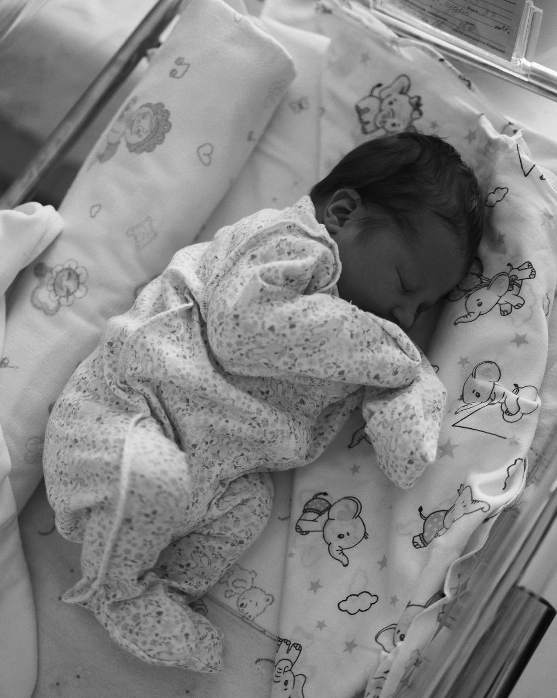 Фото: Telegram @GALICH_onok