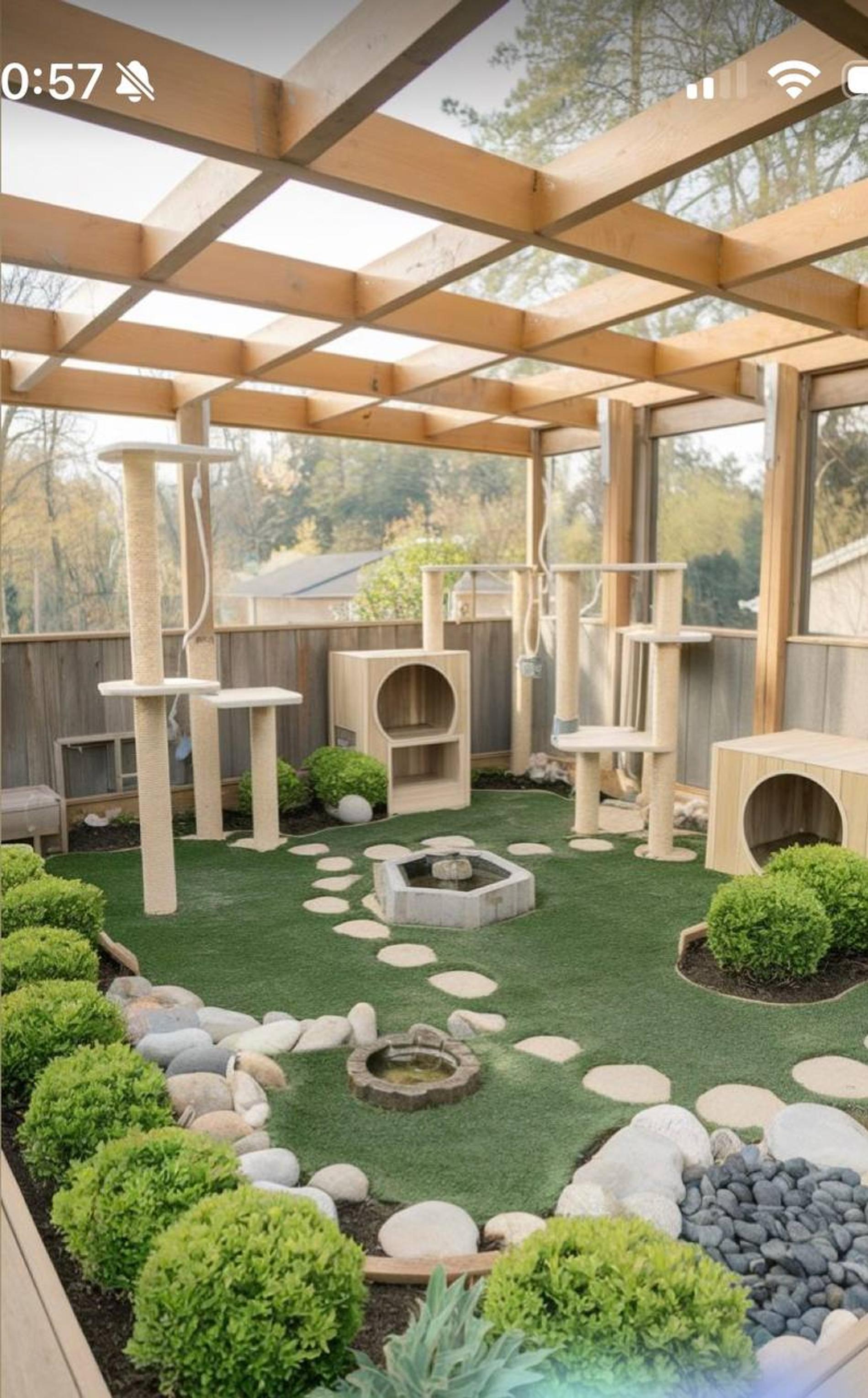 Рефересны приюта Оксаны Самойловой. Фото: ТГ-канал sammyfam