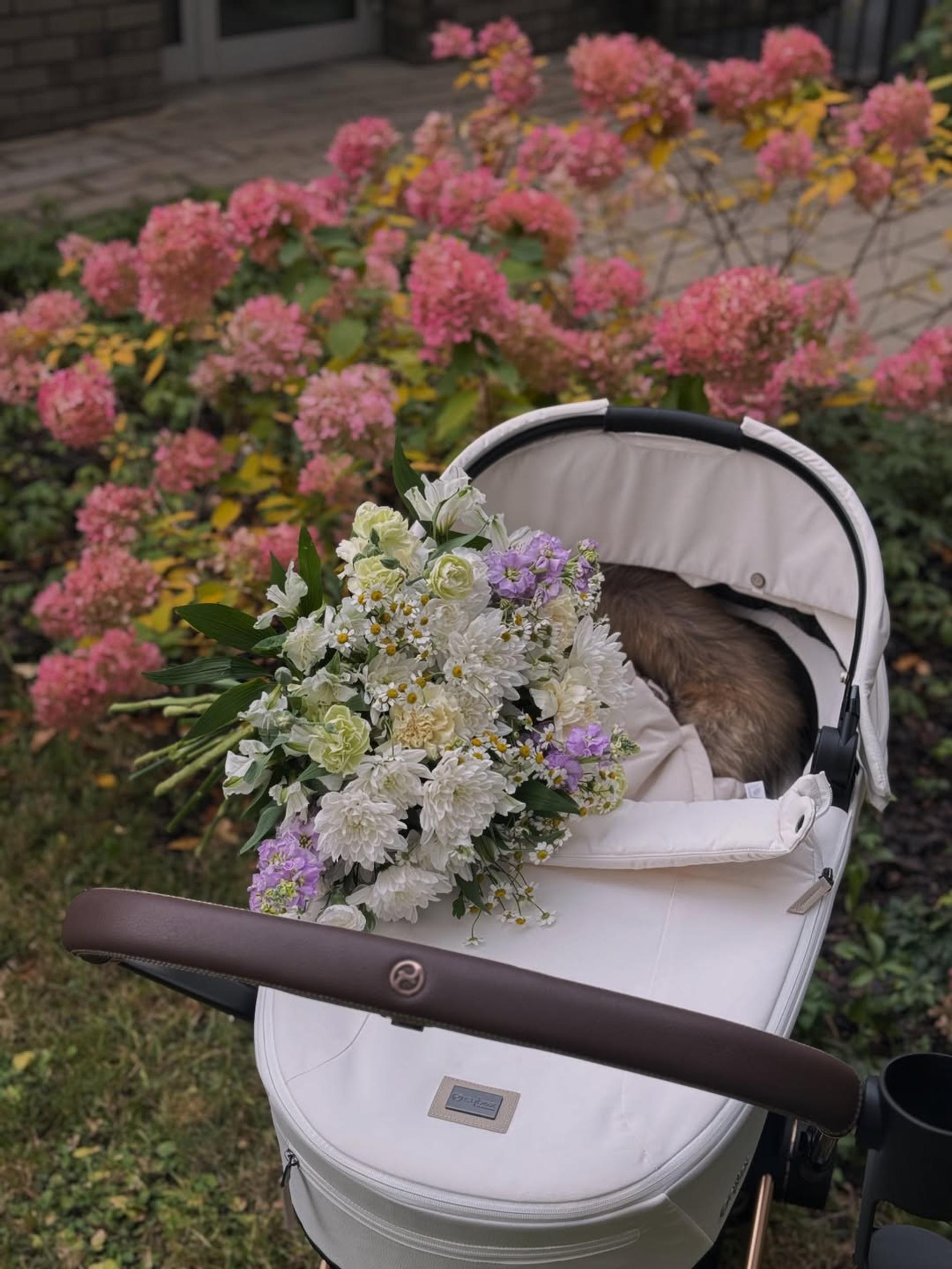 Фото: Инстаграм (запрещён в РФ) @elena_dudina_official