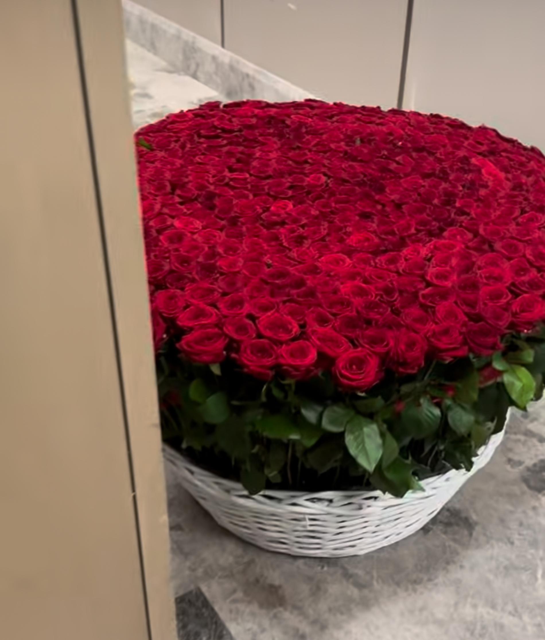 Фото: Инстаграм (запрещён в РФ) @annasedokova