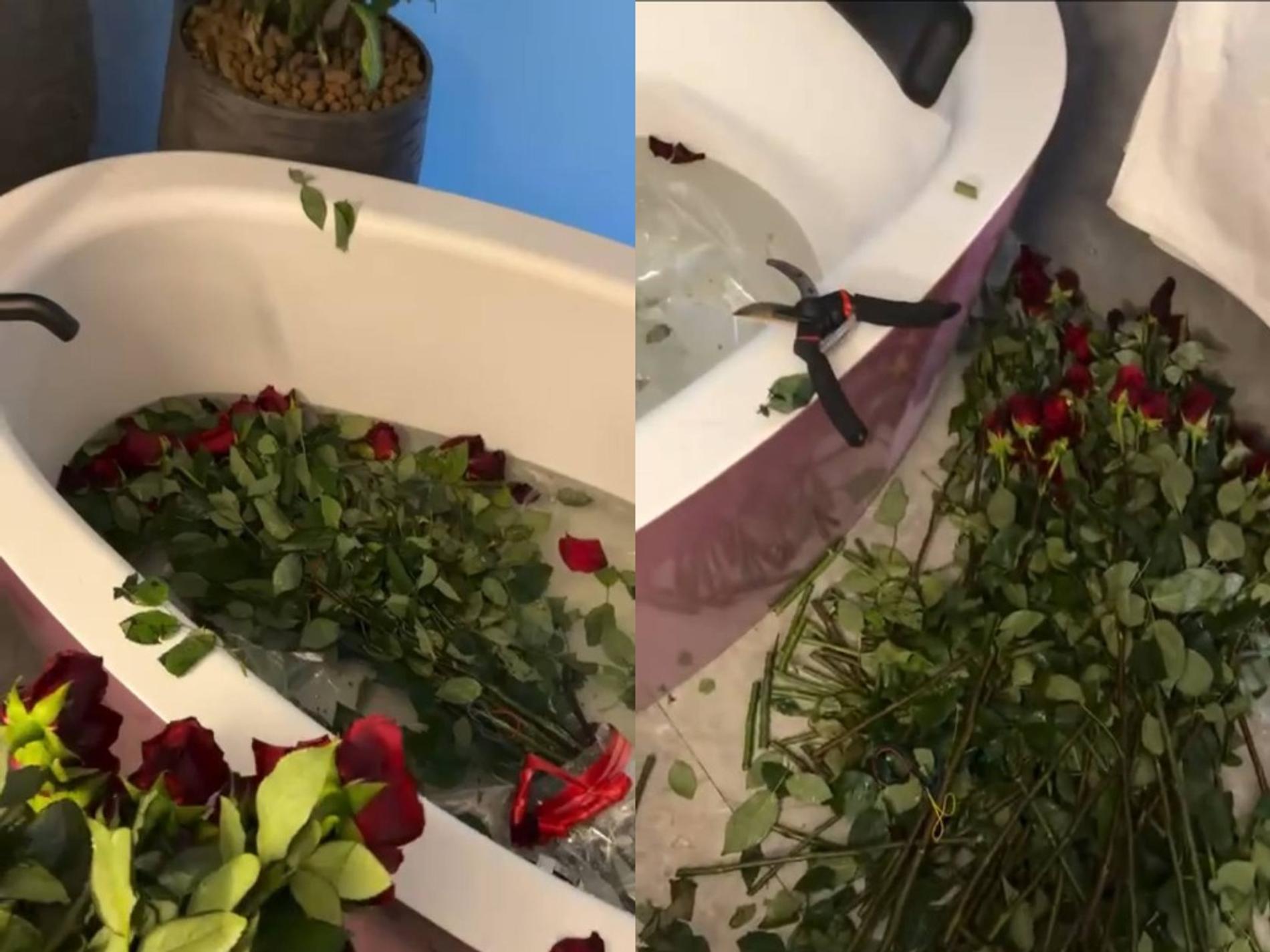 Настасья Самбурская пожаловалась поклонникам на проблему с принятием ванны