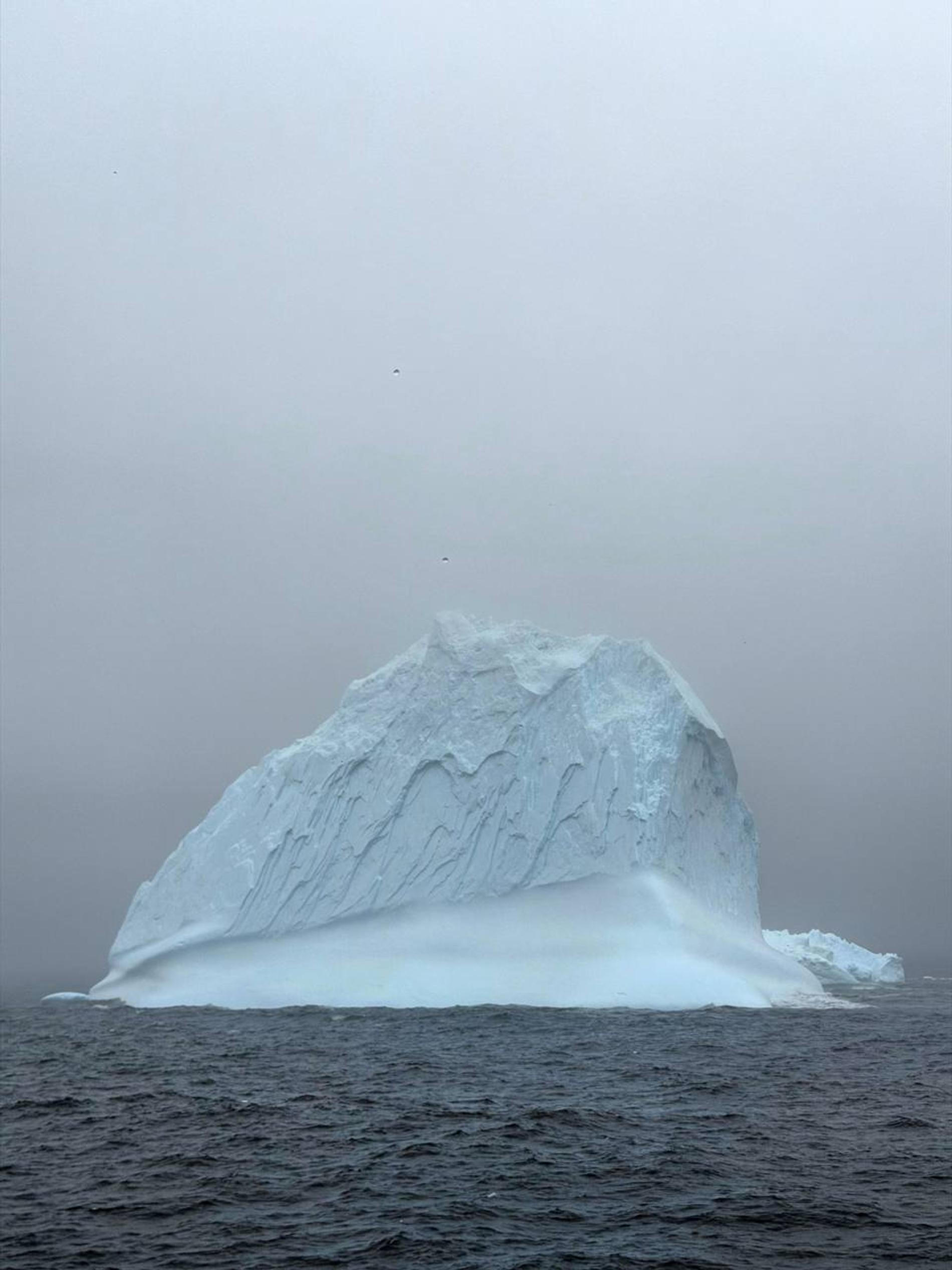 Фото: Telegram-канал Полина Диброва