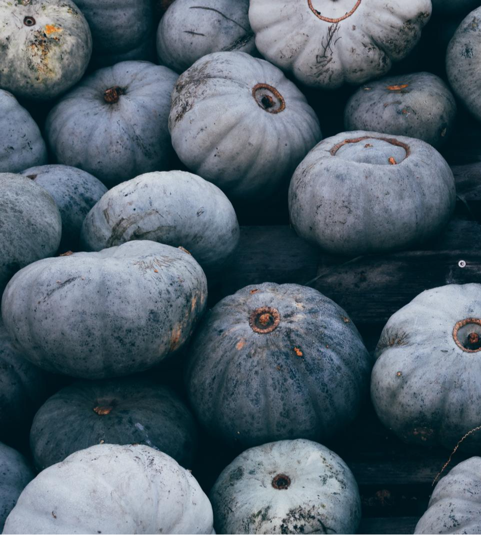 Подпись к фотографии