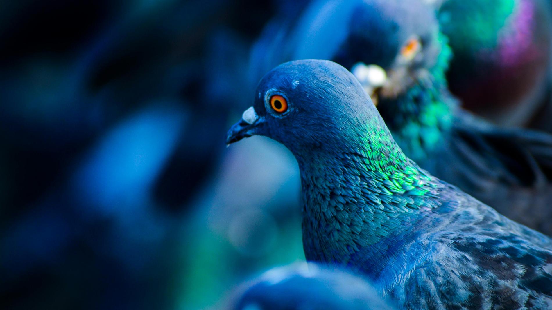 галерея плитка