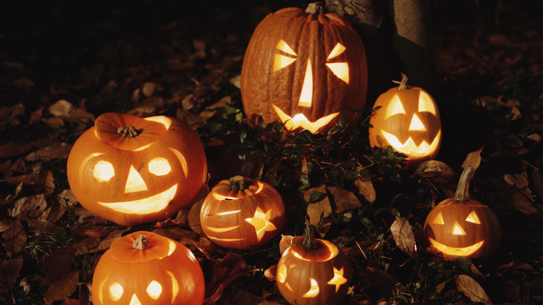 Подпись к фотографии