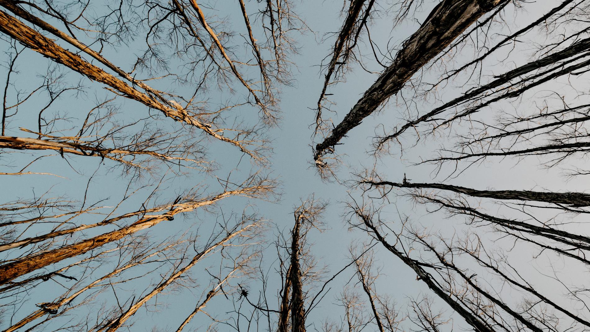 Подпись к изображению